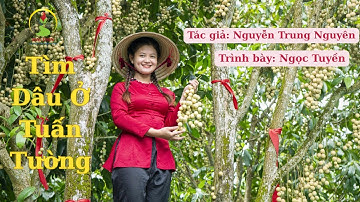 Tri Ân Người Soạn Giả Đã Khắc Họa Vẻ Đẹp Tuấn Tường Qua Lời Ca