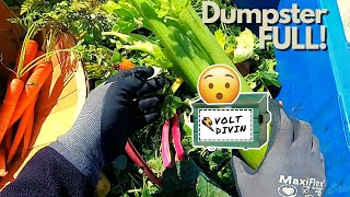 Dumpster Diving - Check This Out!!! - S2E23