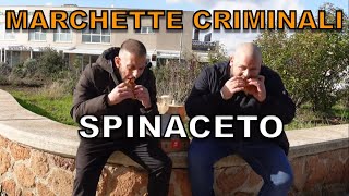 Marchette criminali SPINACETO