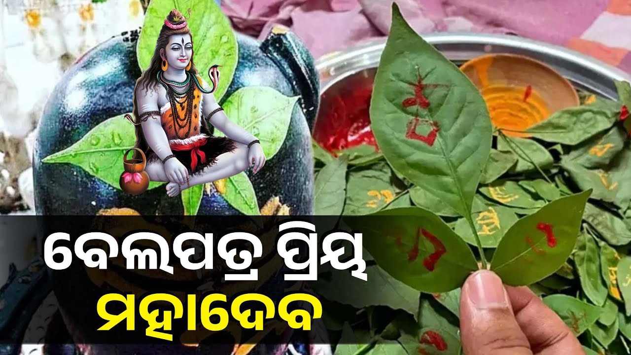 କାହିଁକି ମହାଦେବଙ୍କର ପ୍ରିୟ ବେଲପତ୍ର, କେମିତି ଅର୍ପଣ କରିବେ ଜାଣନ୍ତୁ