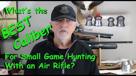 The Best Caliber for Hunting Small Game with an Air Rifle?