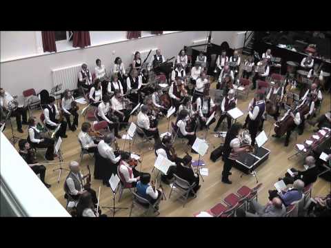 Cobweb Orchestra Pyburn Horn Concerto movt 1.wmv
