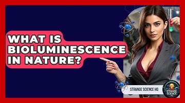 What Is Bioluminescence In Nature? - Strange Science HQ