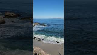 La Jolla beach, San Diego #travel