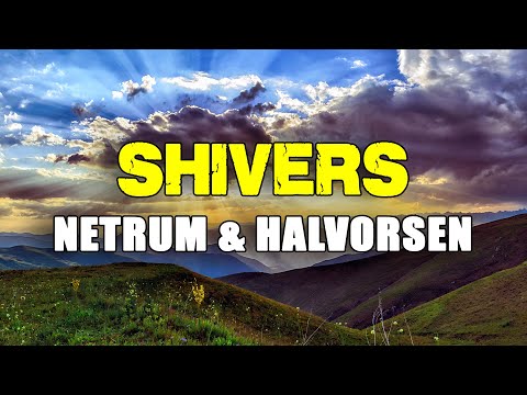 Netrum & Halvorsen