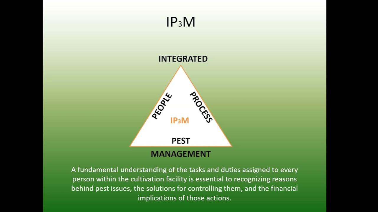 IPM Scoutek Action Thresholds inar YouTube
