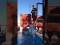 Puppy Retriever Training Water