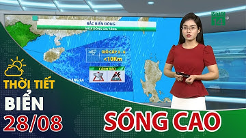 Thời tiết biển 28/08/2023: Ảnh hưởng của bão Saola, huyện đảo Trường Sa sóng cao 2-3m| VTC14