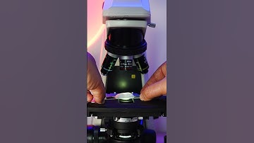 Your skin is crawling with bacteria... and that’s actually amazing!