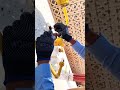 Dubai Gas Technician Real Work | Panel Sensor Gas Leak Fix | Gas Tech gas tank revalidation process