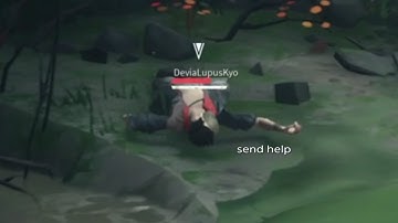 The Absolver shuffle - Bugsolver (funny and weird glitches)