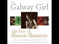 Sharon Shannon feat. Mundy - The Galway Girl [Audio Stream]