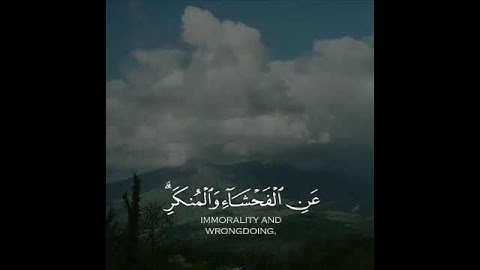 تلاوة هادئة تريح القلب والأعصاب 💜قرآن الكريم✨حالات واتس اب انستقرام بصوت جميل🧡 Quran