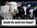 Should the world turn Vegan?