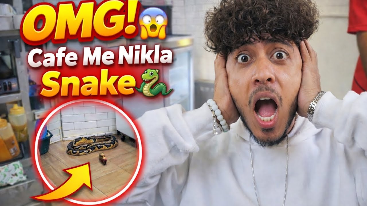 🐍 “OMG! Cafe Me Snake 😨”