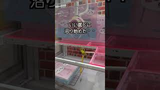 【クレーンゲーム】人気のちいわかミニテーブル!沼ったので、押しまくってやった!#shorts