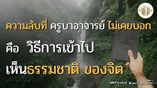 ความลับที่ไม่เคยถูกเปิดเผย ที่ครูบาอาจารย์ ไม่เคยบอก คือวิธีการเข้าไปเห็นธรรมชาติ ของจิต 01.06.2566