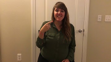 Video #2 Language Background