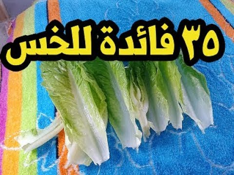 فوائد الخس 35 فائدة لن تتخيلها فى اوراق الخس العظيمة !!