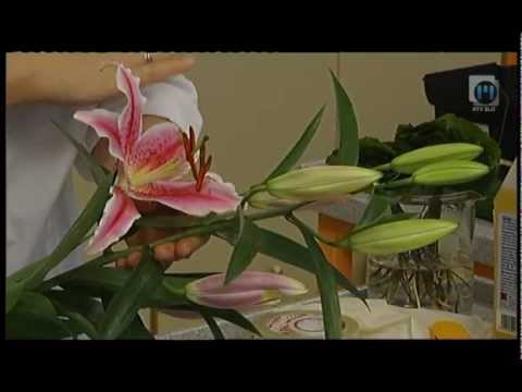 Video: Kakšno Cvetje Posaditi Na Vrtu?