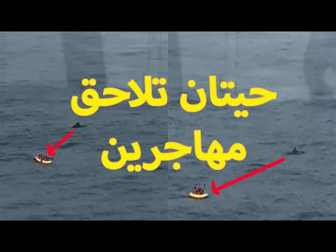 فيديو: هل حصل جبل طارق على سجن؟