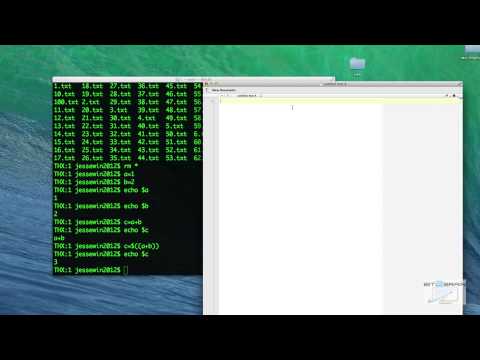 Bash Shell Scripting On Mac OS X