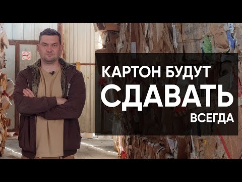 Почему рынок макулатуры не загнется? Картон будут сдавать всегда! Бизнес на вторсырье 2022