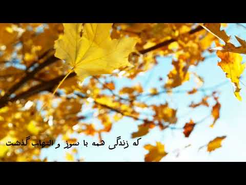 گذشت عمر اثری از محمد ابراهیم کوهی لشکری