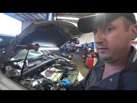 Автомеханик в США ,Работа , Мертвый кит на берегу океана !