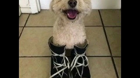 1k hours | Rust Montage