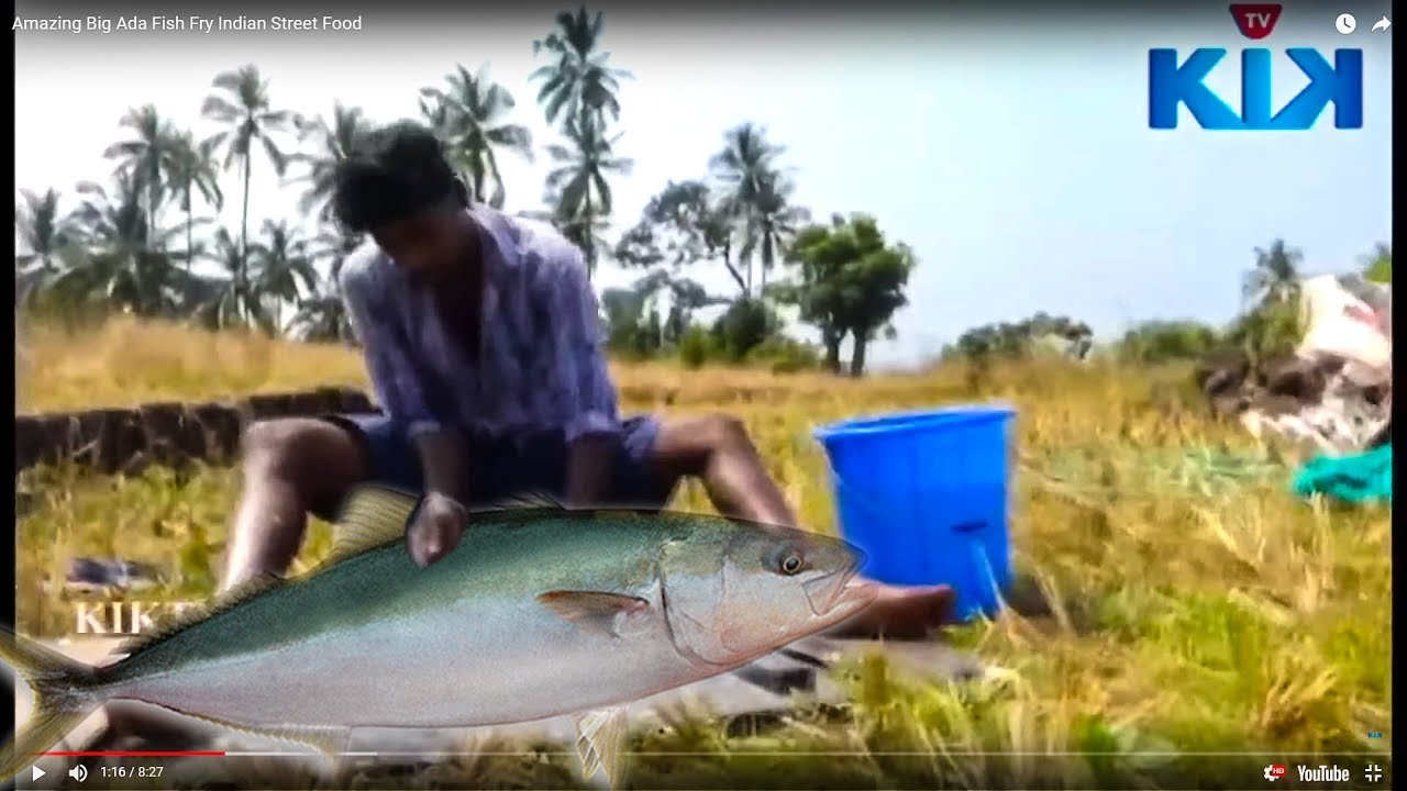 Amazing Big Ada Fish Fry  Indian Street Food | KikTV Network