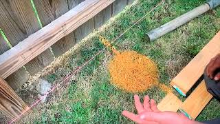 Digging a hole around utility lines in a very safe way