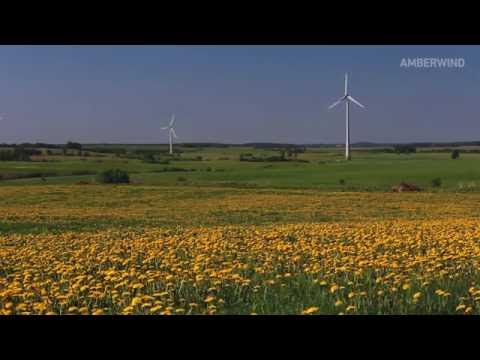 Video: Ispanijos Vėjo Jėgainių Parkas Generuoja Per Daug Energijos - „Matador“tinklas