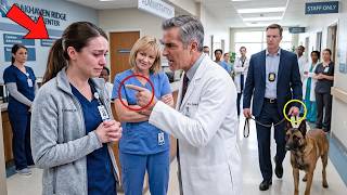 Full They Framed a Quiet Nurse—Until Her K9 Led a Federal Agent to Expose the Hospital's Biggest Lie News