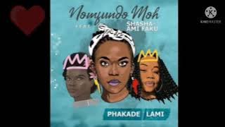 Nomfundo Mo - Phakade Lami ft. Ami Faku & ShaSha #pleasesubscribe #kabzadasmall