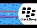 What happened to blackberry