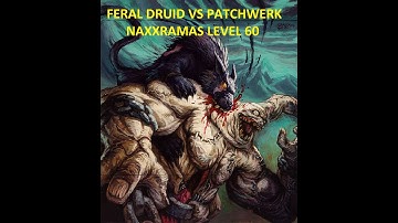 Feral Druid Tank vs Patchwerk (Naxxramas Official Classic lvl 60)