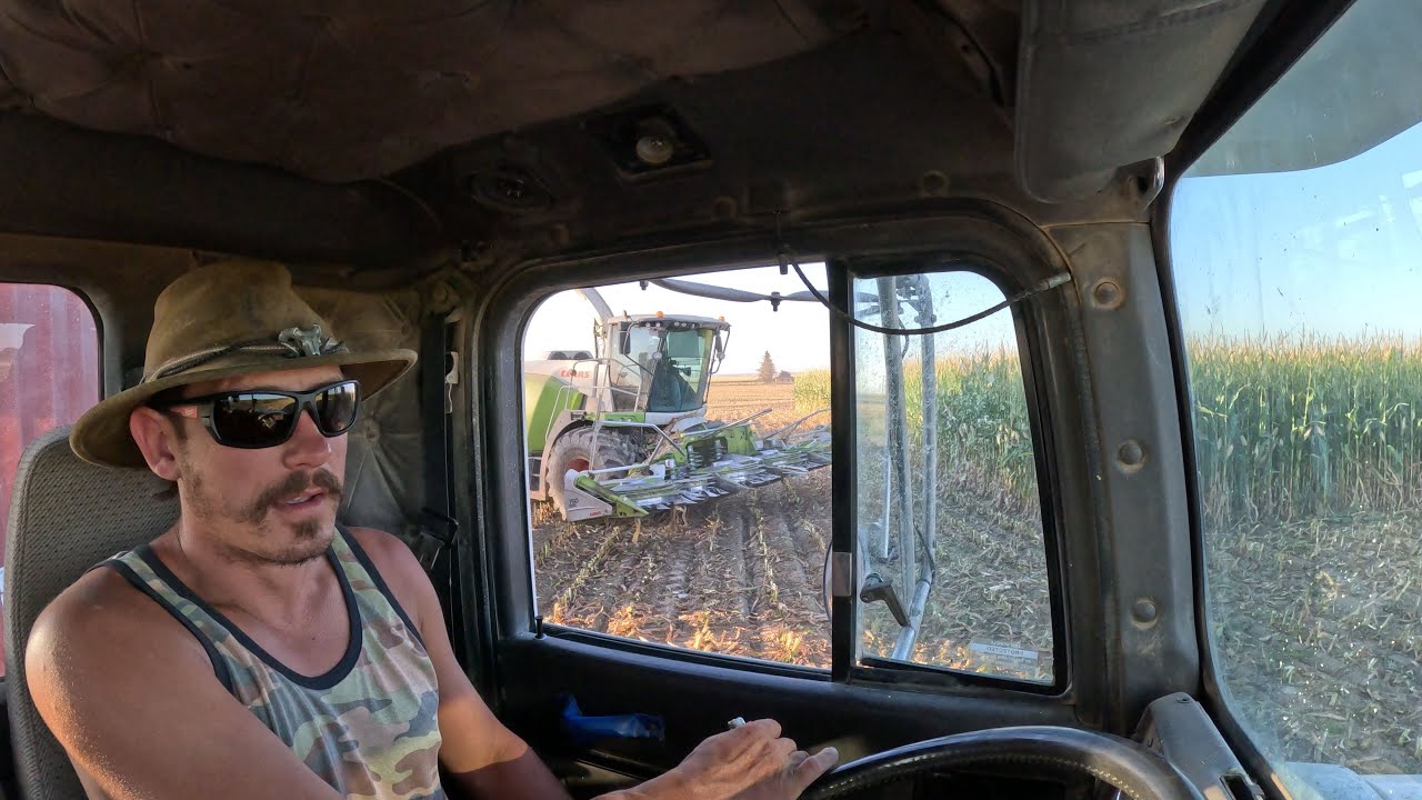 What Do Shearers Do In The Off Season? Drive Truck For Corn Silage