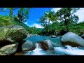 Healing Night River Sounds for Stress-Free Sleep
