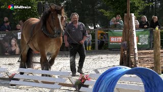 Kaltblutrennen in Mützenich