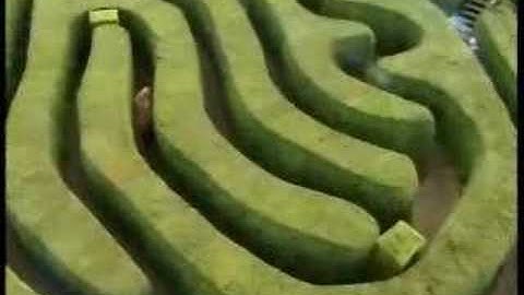 Trigger Happy TV hedge maze