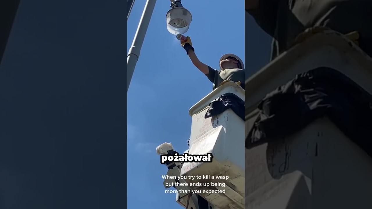 Próby usunięcia gniazd os, które skończyły się źle