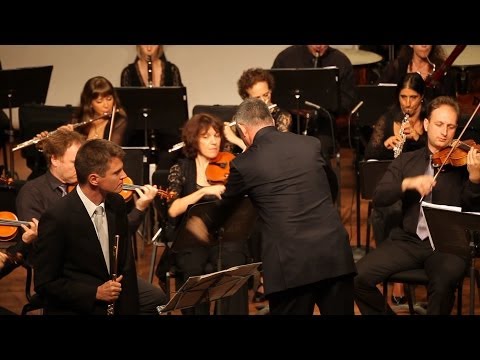 Mendelssohn flute concerto op. 64, Karl-Heinz Schütz. NKO. Shalev Ad-El