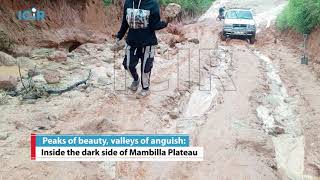 Peaks Of Beauty, Valleys Of Anguish: Inside The Dark Side Of Mambilla Plateau Resimi