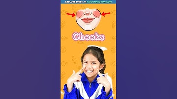 What Is This? 🤔 Fun Body Parts Quiz | Head, Face & Neck | Adi Connection AC #shorts