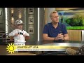 12-åriga Miles lever i en åttioårig kropp - Nyhetsmorgon (TV4)