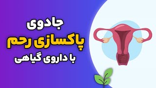 جادوی پاکسازی رحم و تخمدان با داروی گیاهی || درمان بیماری های زنانه با طب سنتی screenshot 5