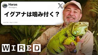 爬虫類の専門家だけど質問ある？ | Tech Support | WIRED Japan