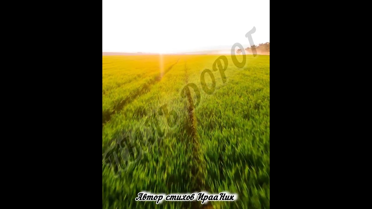 ХОТЕЛОСЬ МНЕ ПОСТРОИТЬ ДОМ...