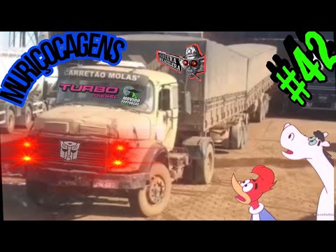 MURIÇOCAGENS #42